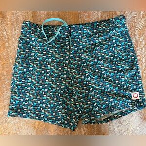 Public Beach Men’s Swim Shorts size large